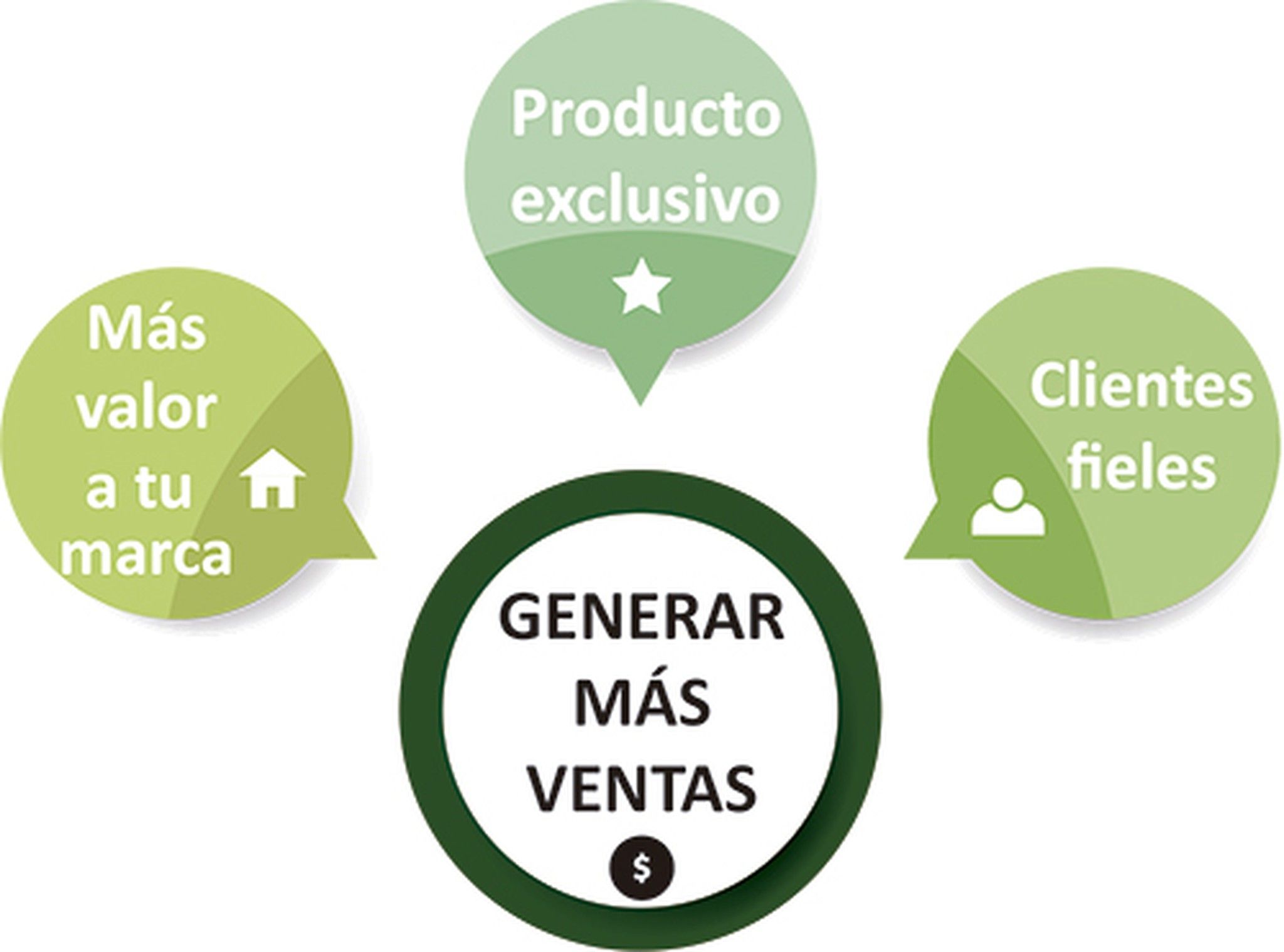 infografia personalizar