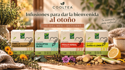 Infusiones para dar la bienvenida al otoño · Té del mes de OCTUBRE