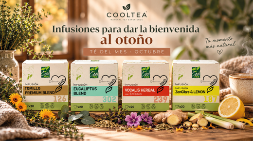 Infusiones para dar la bienvenida al otoño · Té del mes de OCTUBRE