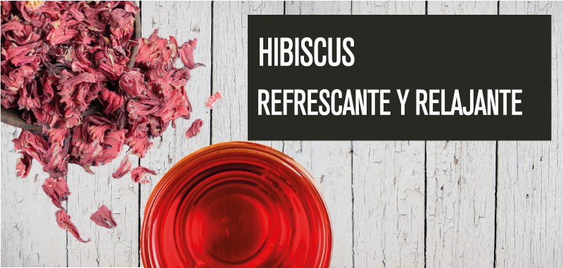 Flor de Hibiscus. Infusión y propiedades.