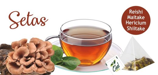 Infusiones con Setas Orientales. Superalimentos.