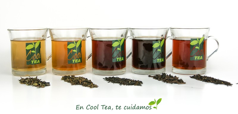 Guía rápida para conocer las diferentes variedades del té