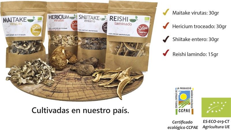 ¿Cómo te pueden ayudar las setas?