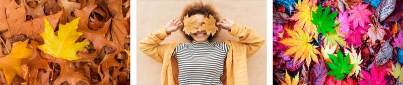 Noviembre, el corazón del otoño
