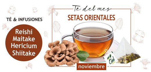 Setas Orientales. Superalimentos. Té del mes de NOVIEMBRE.