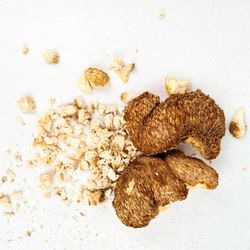 Hericium trocedado BIO