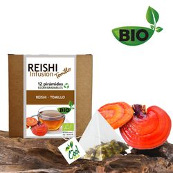 Infusión REISHI TOMILLO BIO