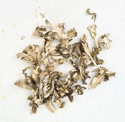 Maitake Virutas BIO