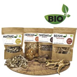 Maitake Virutas BIO