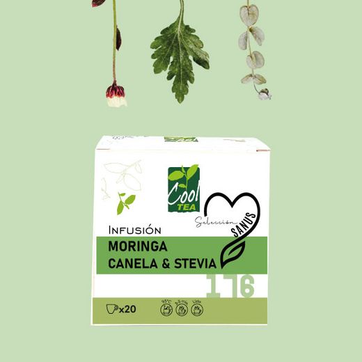 Moringa & Canela Infusión Sanus
