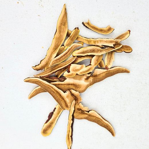 Reishi deshidratado BIO