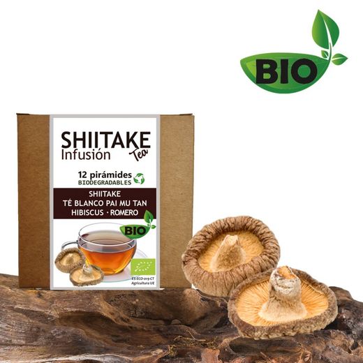 Té SHIITAKE BIO